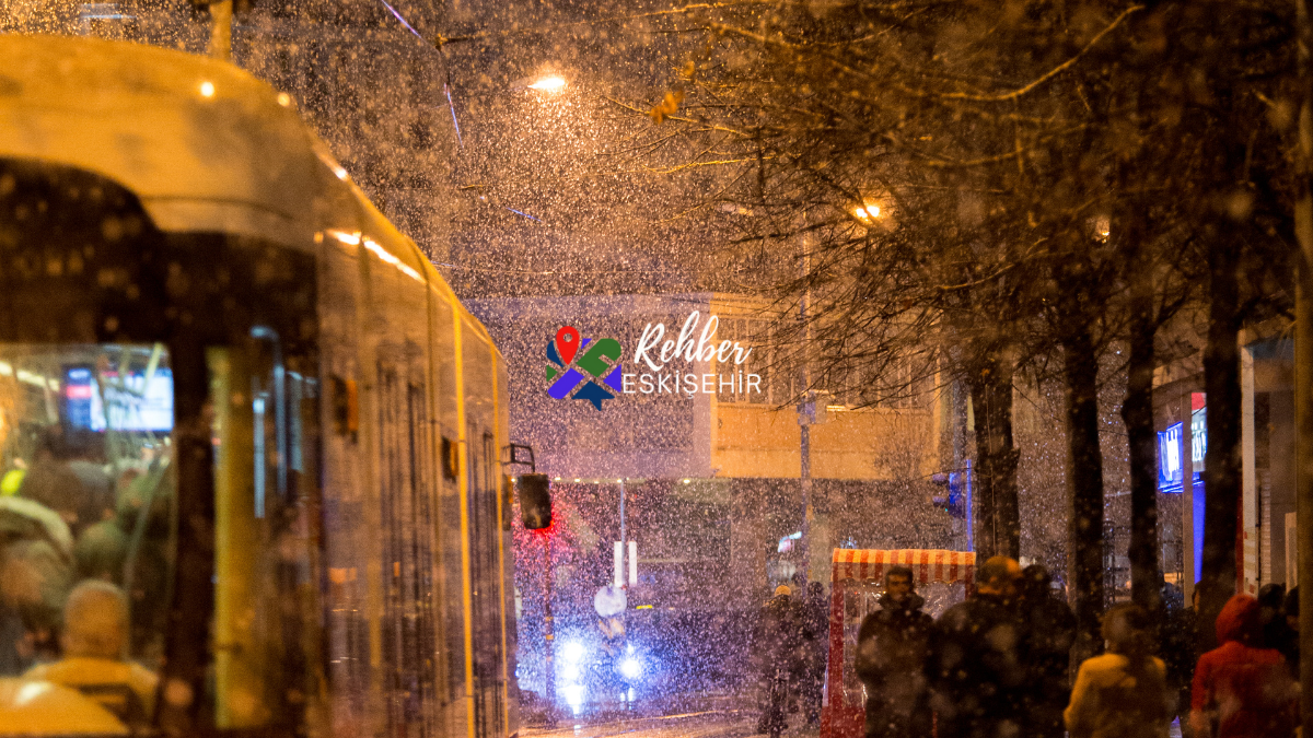 Eskişehir'in Canlanan Gölgeleri: Geleneksel Karagöz ve Hacivat Perdesinde Bir Kültür Yolculuğu