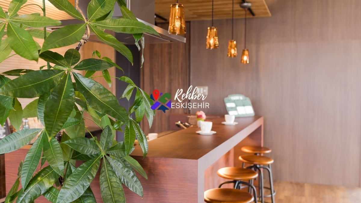 Eskişehir'in Kapalı Arenalarında Eğlence Rüzgarı: Bowling ve Bilardoyla Unutulmaz Anlar